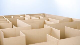 GIANT Maze Labyrinth for Cat Kittens. Can they EXIT?