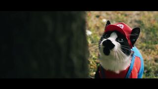 Super Mario Cat Bros