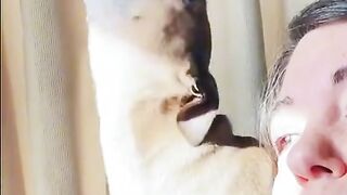 Funny videos 2022