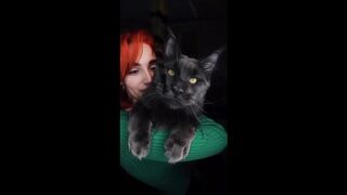 Amazing Cat