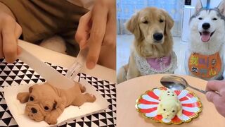 Funniest Animals | Funny Dog And Cat | Funny Animals Video #17