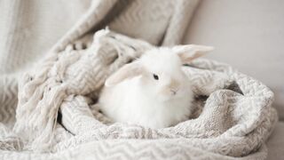 he so cute