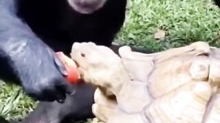 Sharing is Caring