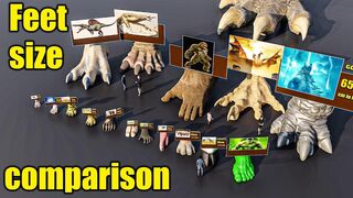 Feet Size Comparison|WTD| Animal Size