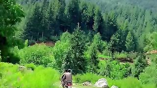 یہ ہے دیر شاہی