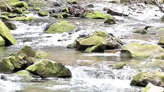 water flows through the stones