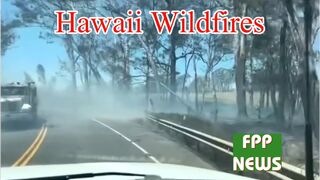 At least 6 people has died in Hawaii wilfires