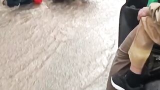 fell on the highway