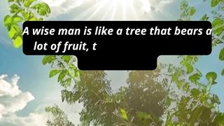 words of wisdom 14
