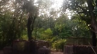 Animal lovers 456
