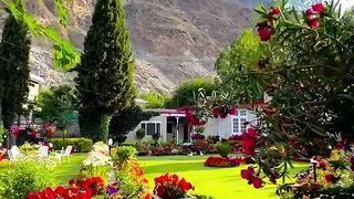 Video]_in_2023_|_Beautiful_nature,_Photo_art_frame,_Beautiful_gardens.