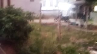 Animal lovers 461