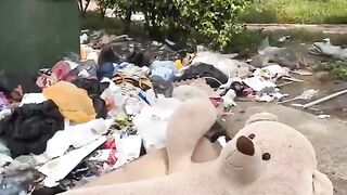 funny video 289