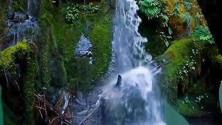 beautiful natural scenery 5