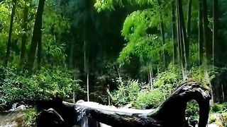 beautiful natural scenery 9