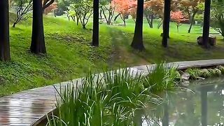 beautiful natural scenery 10
