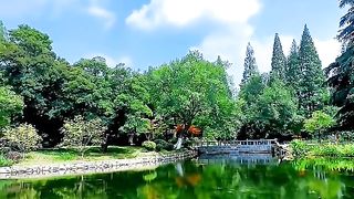 beautiful natural scenery 11
