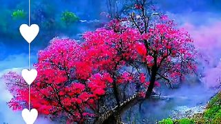 beautiful natural scenery 13