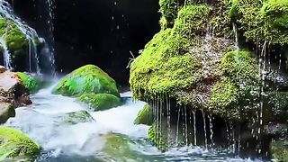 beautiful natural scenery 26