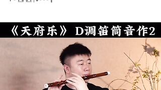 Traditional Chinese instruments play court music