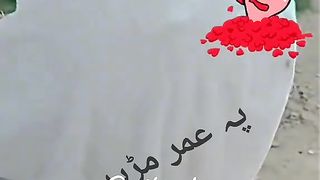 Zara suno