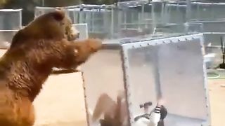 Come out and play with me