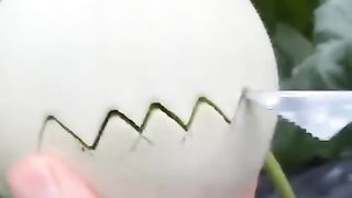 It's Amazing Fruits