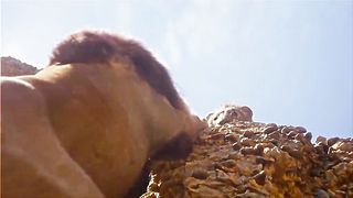 Avengers Best Fight scene