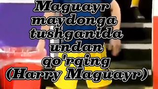 Harry Maguair