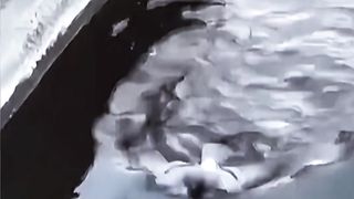 respect shorts 13