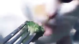 Funniest Cat Videos Ever! (Try not to laugh) ???? 3
