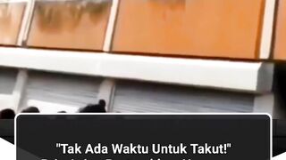 Humanity still alive 2