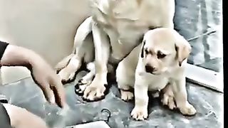 Mom loves