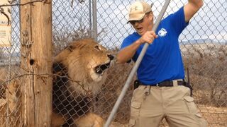 Damn Nature You Scary | Funny Scary Animal Encounters 10