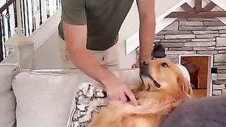 Dog funny 15