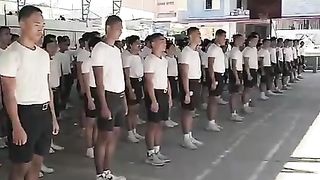 The craziest team who have talent