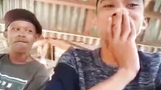 Maell bukan kaleng kaleng