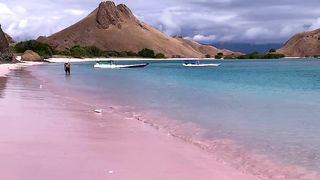 Wanderlust Chronicles: Exploring the World