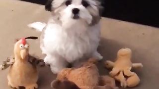 You made me stupid