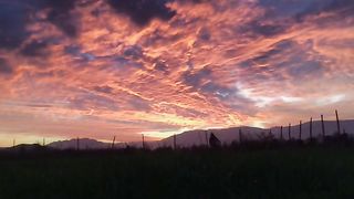 Journey Journals: Adventures Near and Far #short