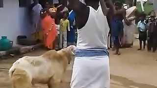 Video lucu 98