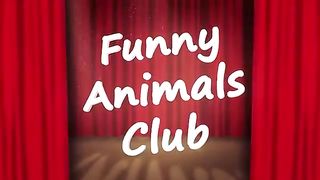 Funniest Animals Video - Best Cats???? and Dogs???? Videos of 2023 Compilation-1.