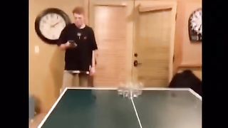 Compilation de mêmes drôles 6
