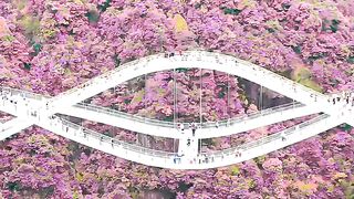 Amazing beauty | beautiful place in the world