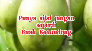 wise words of life 73