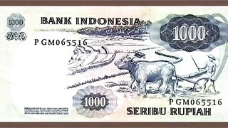 Indonesian currency in the 1990s