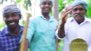 SOAN_PAPDI___Mega_Ghee_Soan_Papdi_Making_in_Indian_Village___Indian_Sweet_Recipe