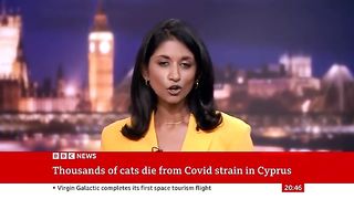Covid cats BBC news
