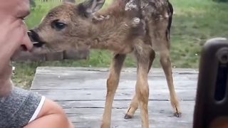 Божественное создание!