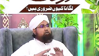 Importance of tree plantation| Tree plantation in